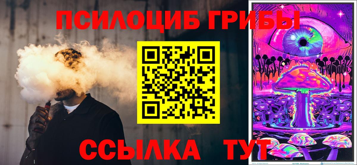 Псилоцибиновые грибы мицелий Вятские Поляны