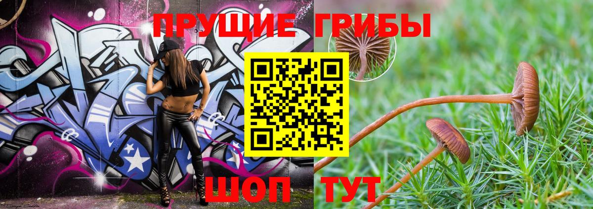 Псилоцибиновые грибы MAGIC MUSHROOMS  Псилоцибиновые грибы MAGIC MUSHROOMS  Вятские Поляны  Вход с VPN 